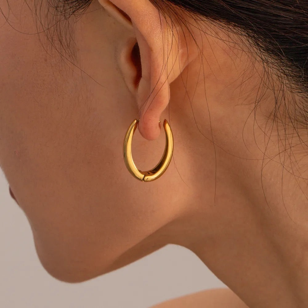 Aretes Aura