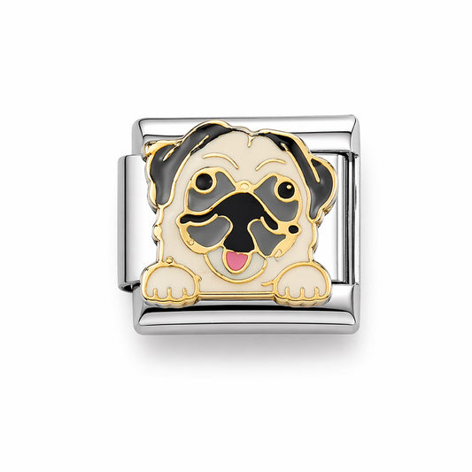 Charm Bulldog